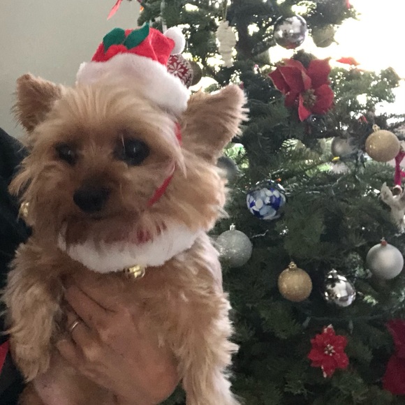 Meet your Posher, Ddfarida - Picture 5 of 5